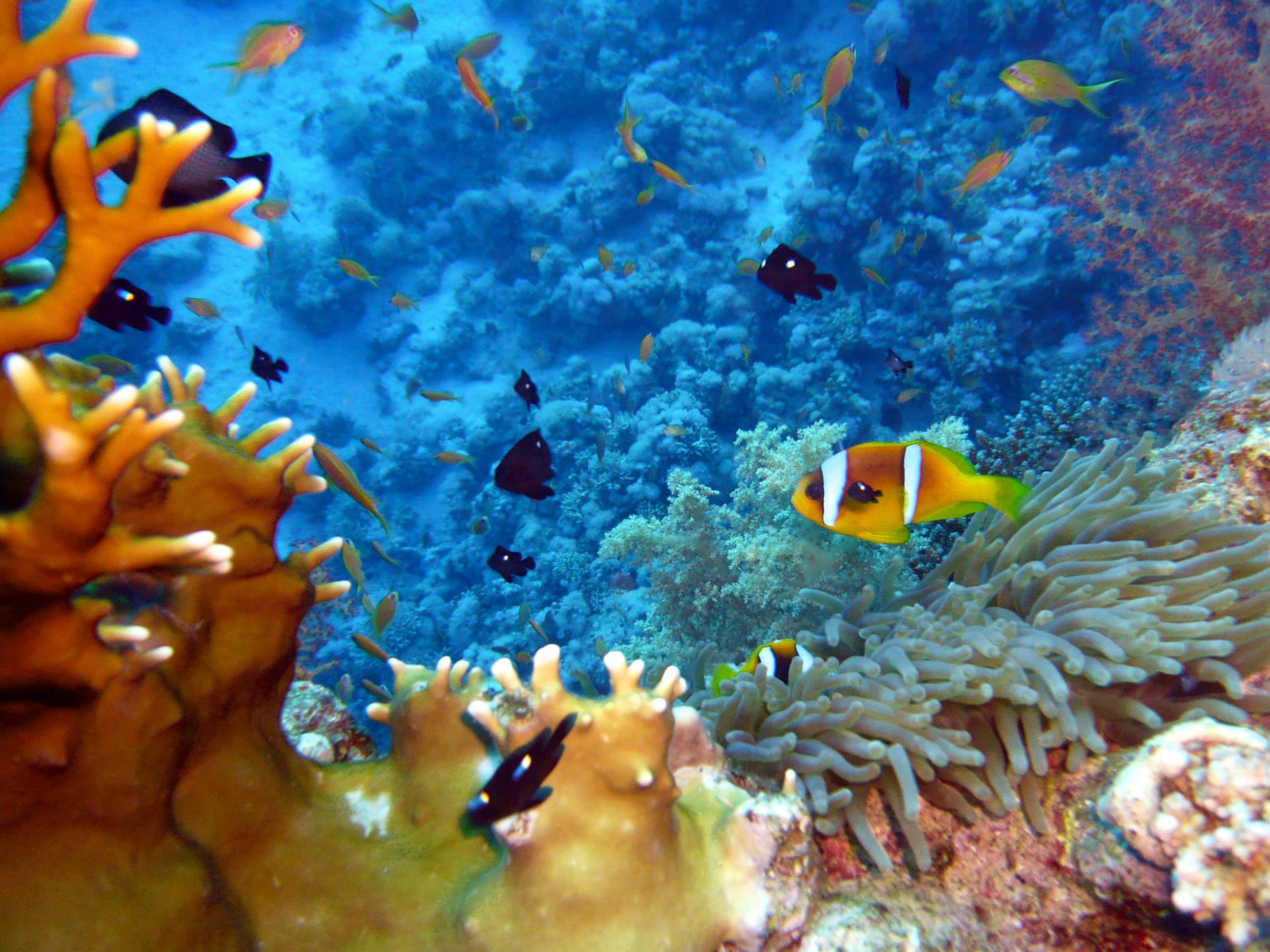 Day 08:  Hurghada / Final Departure  
