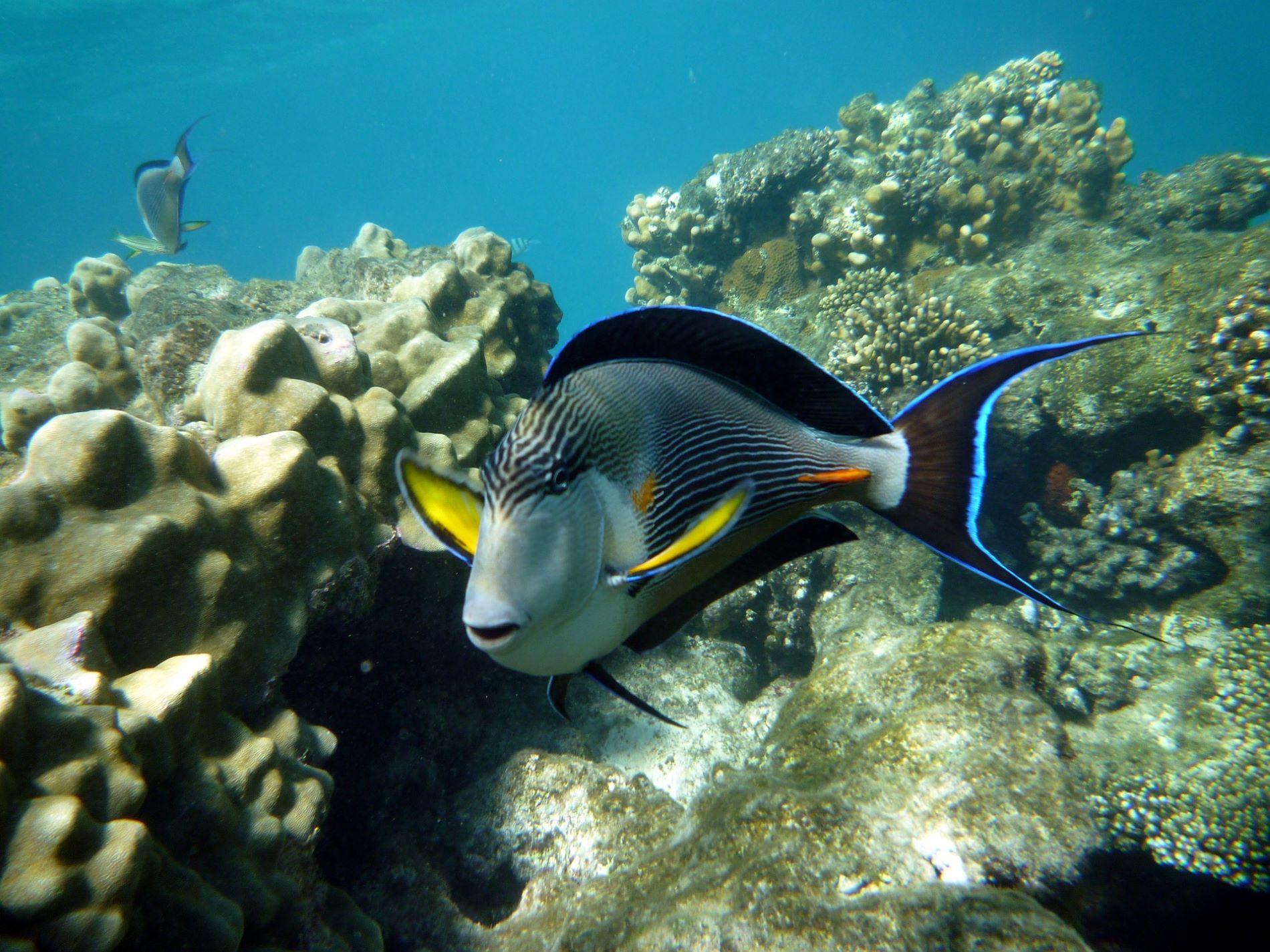  Tag 08: Hurghada / Endgültige Abreise