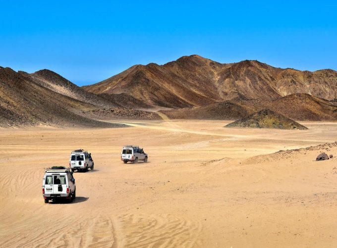 Super Safari tours