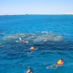 giftun island trip