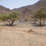 Safari tour from hurghada Safari în deșert