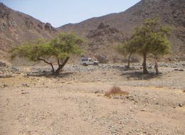 safari vip hurghada
