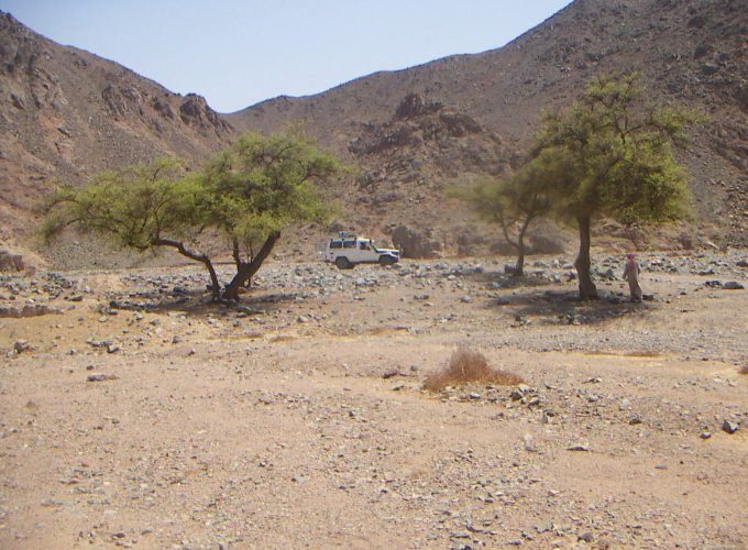 safari vip hurghada