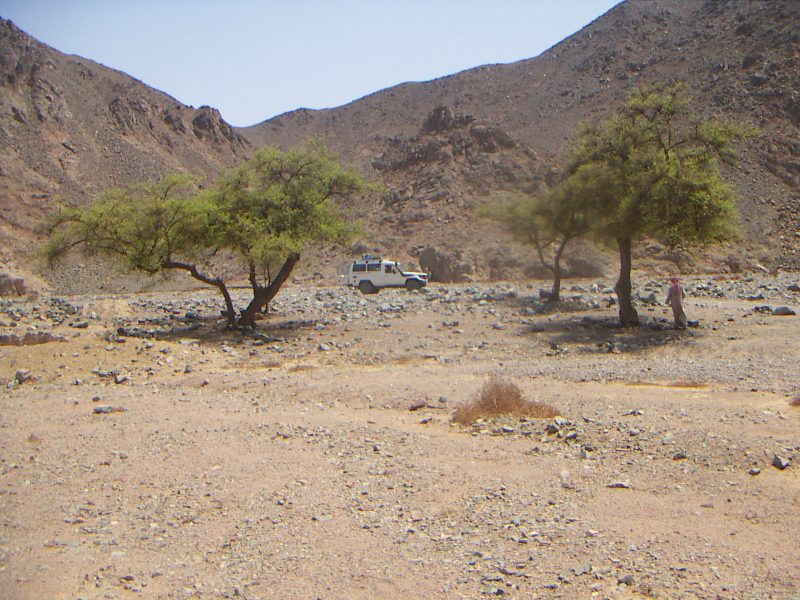 safari vip hurghada