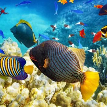 Tag 02: Hurghada