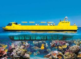 Sea Scope semi Submarine
