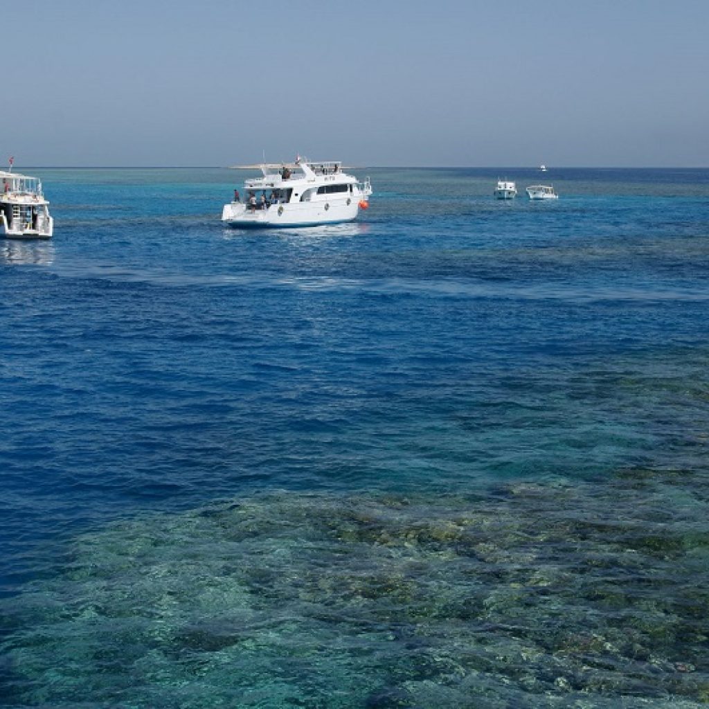 Excursie de snorkeling cu prânz și băuturi
