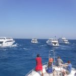 Snorkeltrip met lunch vanuit Hurghada