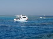 Snorkeling trip in hurghada