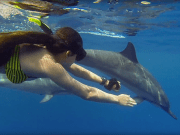 Tur cu barca cu delfini și snorkeling