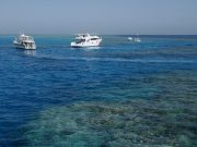 Excursie de snorkeling cu prânz și băuturi