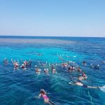 snorkeling trip hurghada