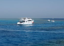 Snorkeling trip in hurghada